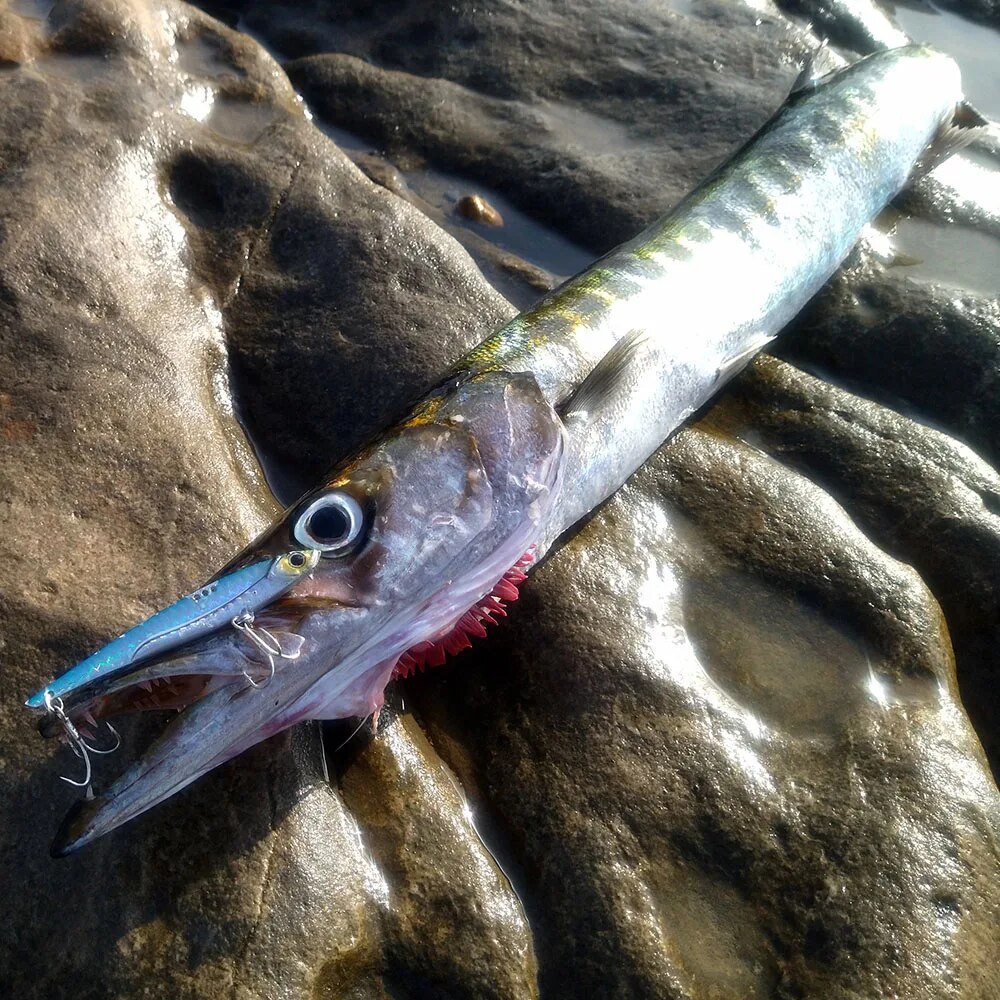 GOBAIT-señuelo de pesca VIB, 2 - Fishing Hook Treble reseña y precio